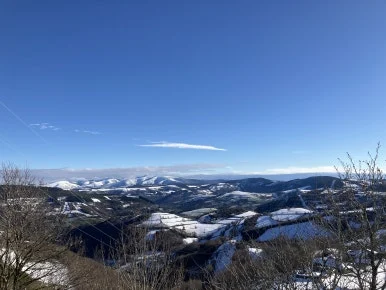 IMG_8025.jpg?type=w386