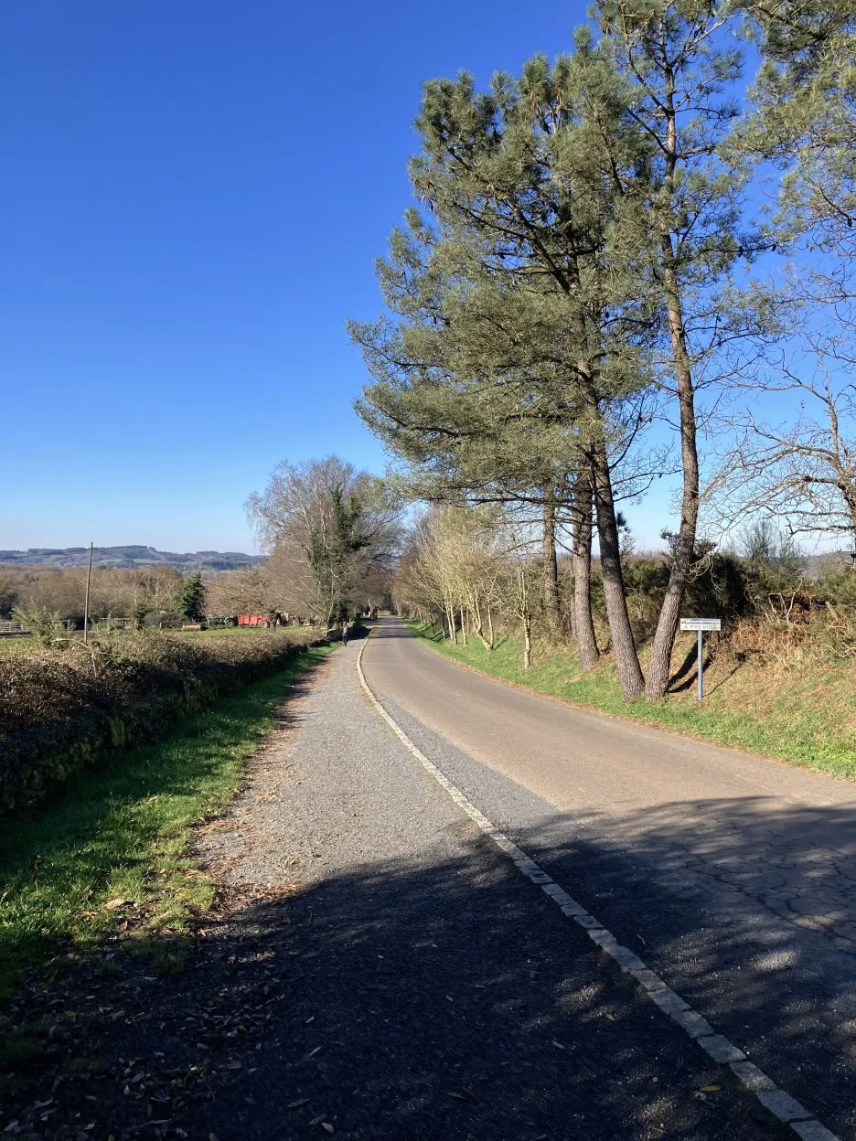 IMG_8942.jpg?type=w1