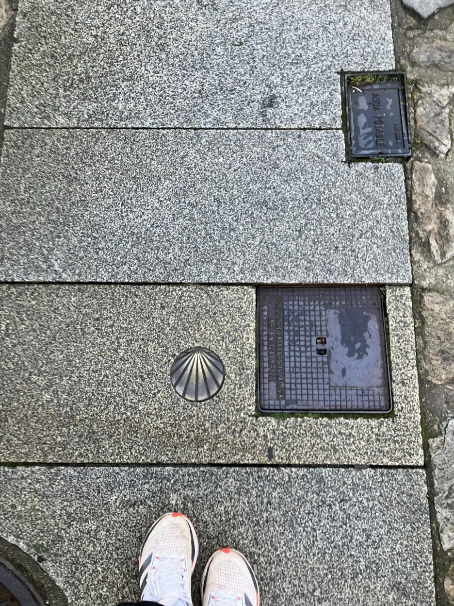 IMG_9828.jpg?type=w1