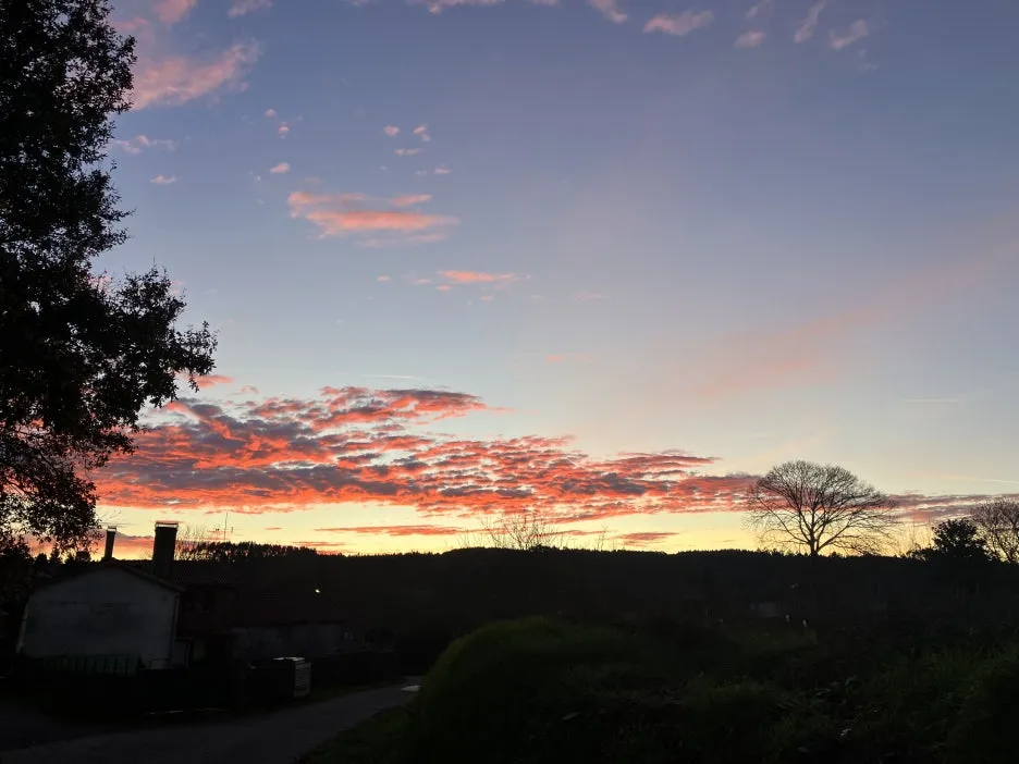 IMG_9509.jpg?type=w1