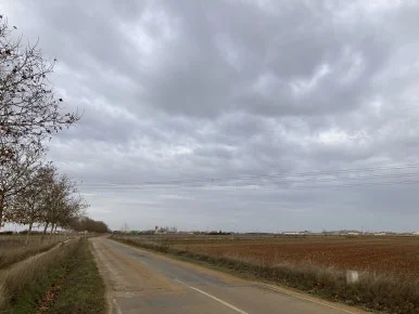 IMG_5313.jpg?type=w386