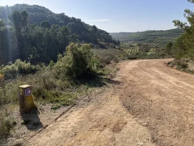 IMG_2800.jpg?type=w386