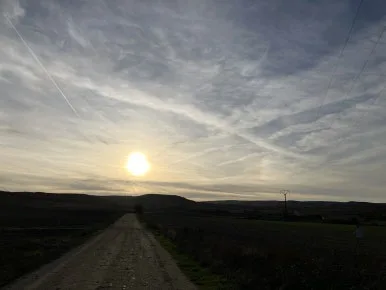 IMG_3531.jpg?type=w386