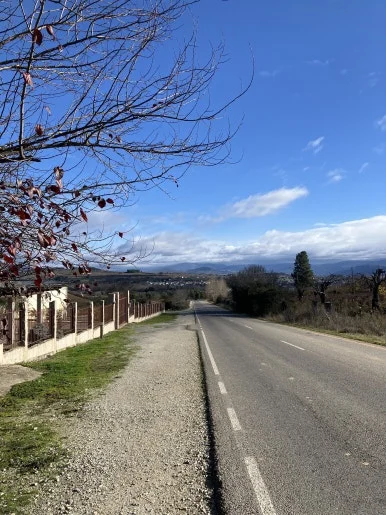 IMG_7505.jpg?type=w386