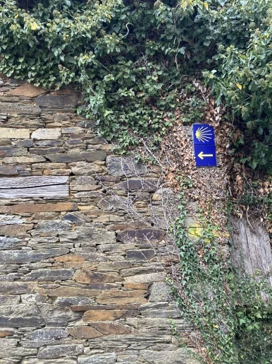 IMG_8124.jpg?type=w386