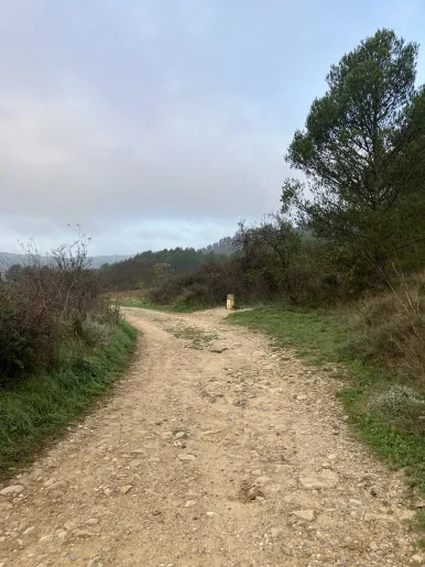 IMG_2434.jpg?type=w386