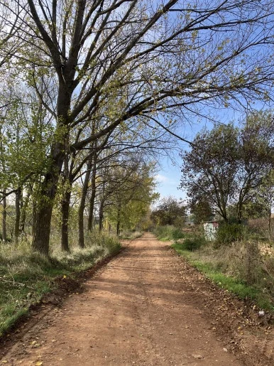 IMG_2637.jpg?type=w386