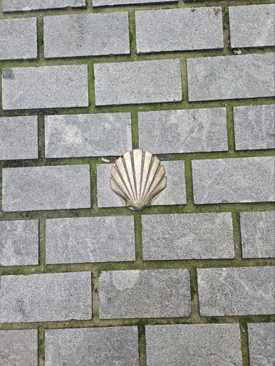 IMG_2726.JPG?type=w386