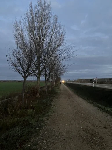 IMG_5485.jpg?type=w386