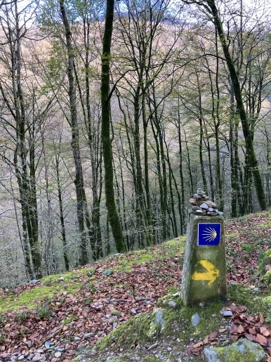 IMG_1983.jpg?type=w386