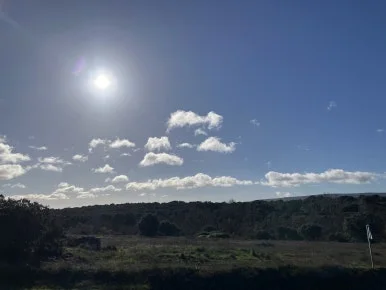 IMG_6707_2.jpg?type=w386