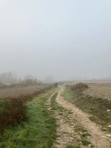 IMG_4598.jpg?type=w386