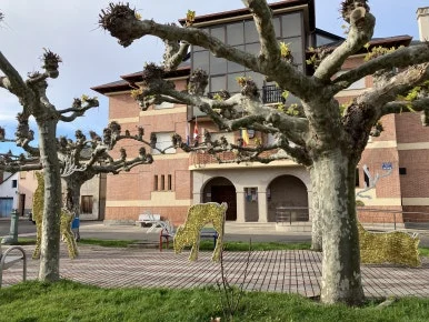 IMG_7414.jpg?type=w386