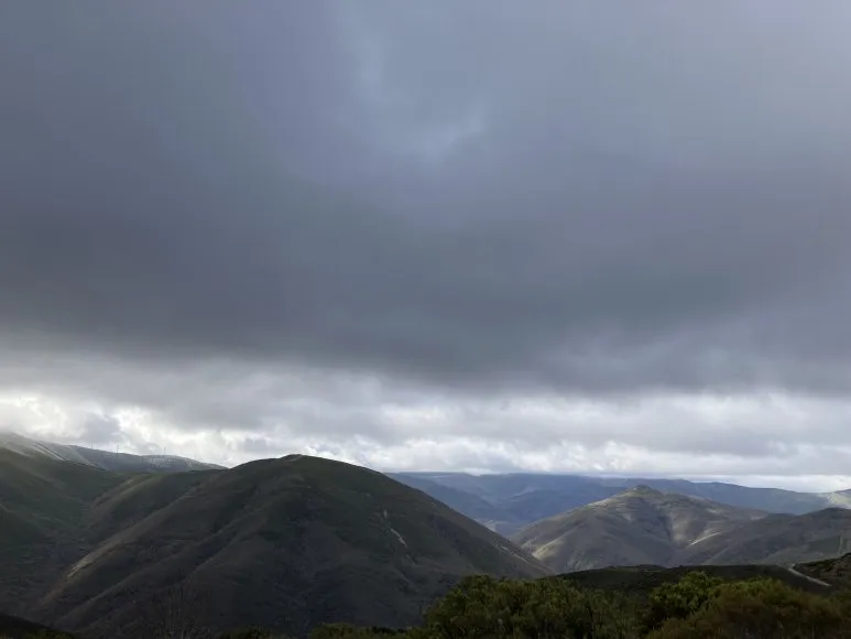 IMG_6999.jpg?type=w773