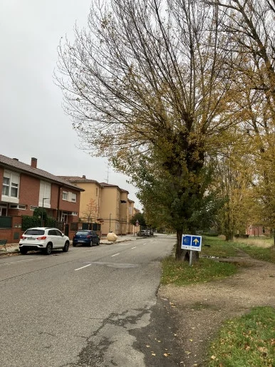 IMG_4406_2.jpg?type=w386