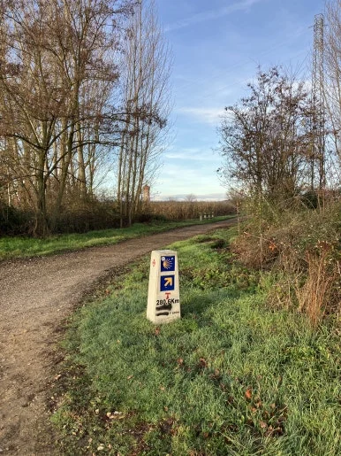 IMG_6234.jpg?type=w386