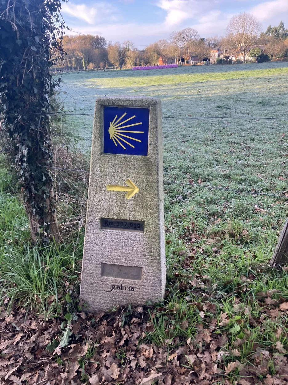 IMG_8504_2.jpg?type=w1