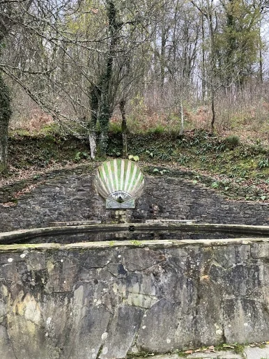 IMG_8196.jpg?type=w386