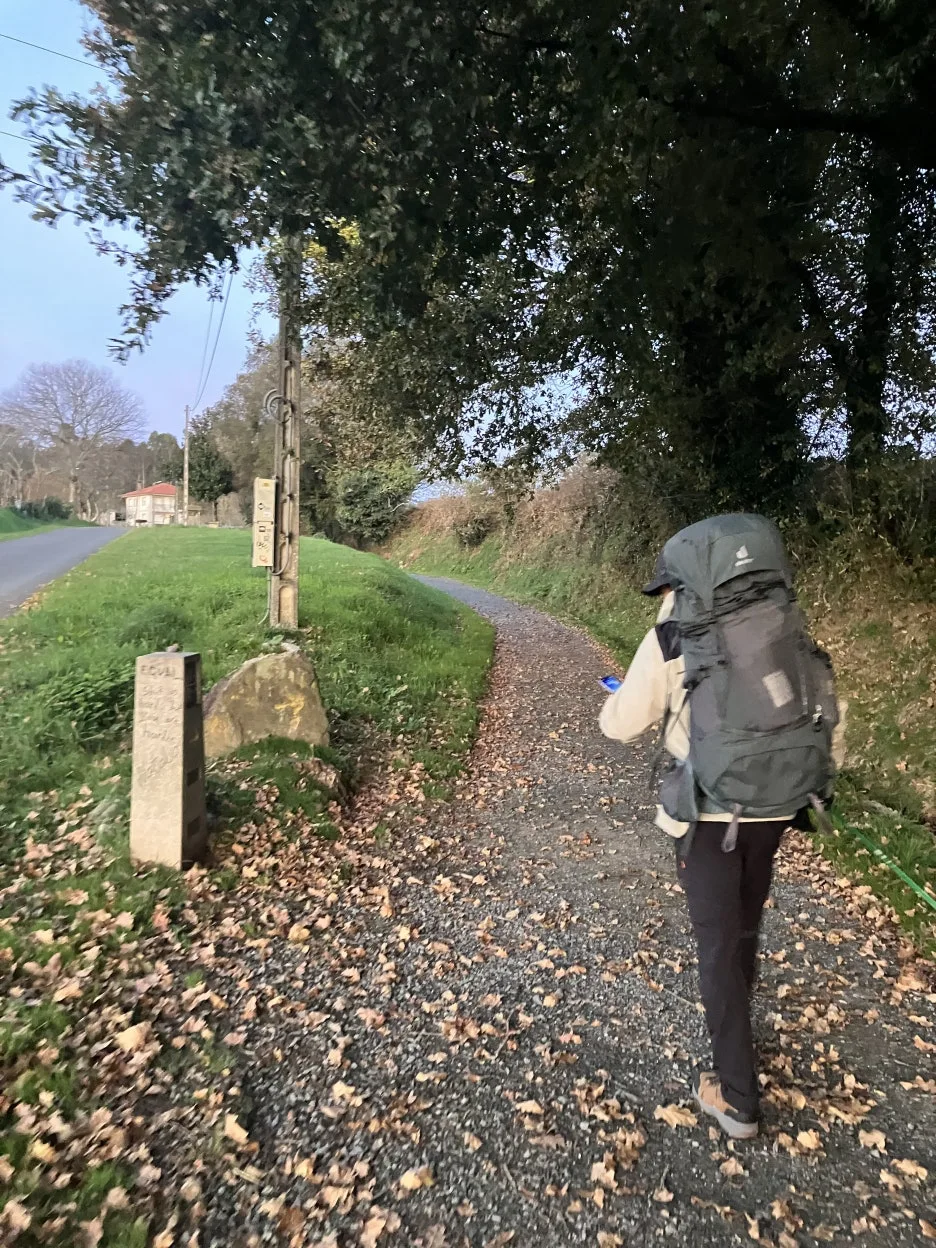 IMG_9506.jpg?type=w1