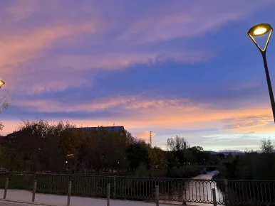 IMG_3116.jpg?type=w386