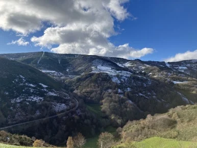 IMG_7781.jpg?type=w386