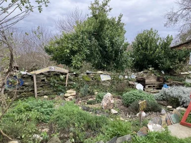 IMG_8254.jpg?type=w386