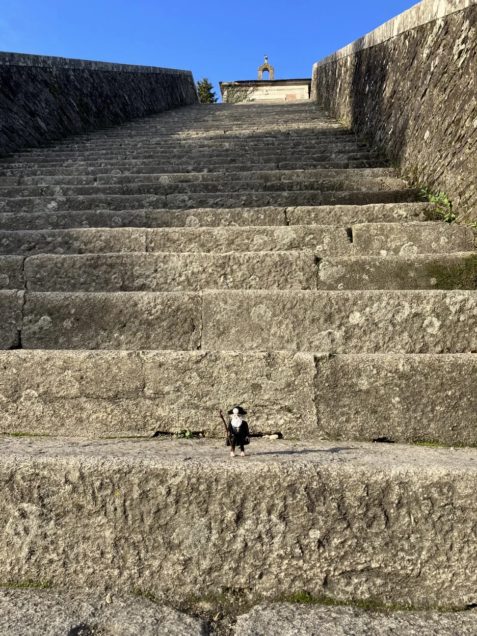 IMG_8712_2.jpg?type=w1