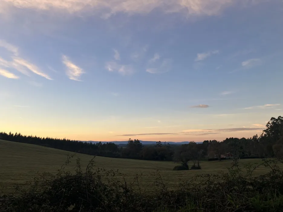 IMG_9523.jpg?type=w1