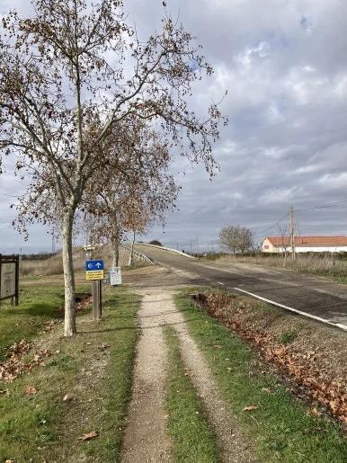 IMG_5440.jpg?type=w386