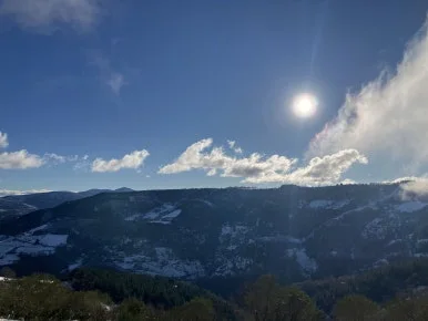 IMG_7826.jpg?type=w386