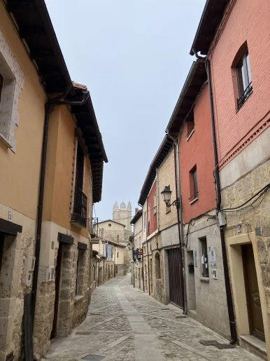 IMG_4651.jpg?type=w386