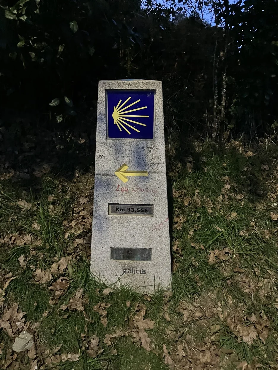 IMG_9450.jpg?type=w1