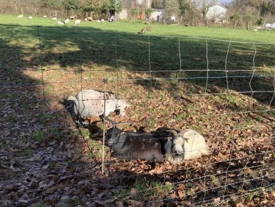 IMG_8352.jpg?type=w386