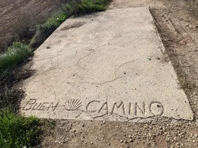 IMG_2659.jpg?type=w386