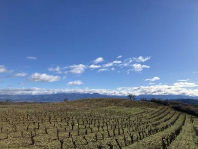 IMG_7545.jpg?type=w386