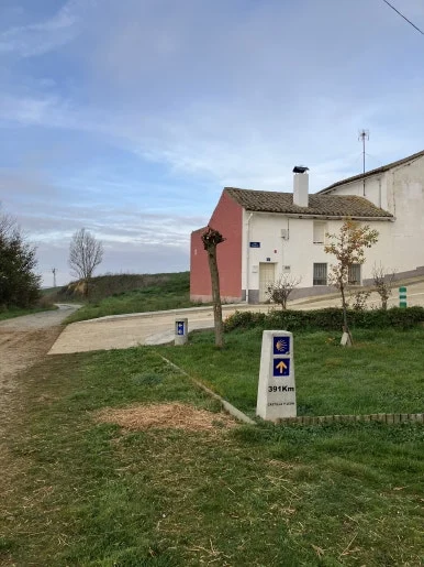 IMG_5067_2.jpg?type=w386