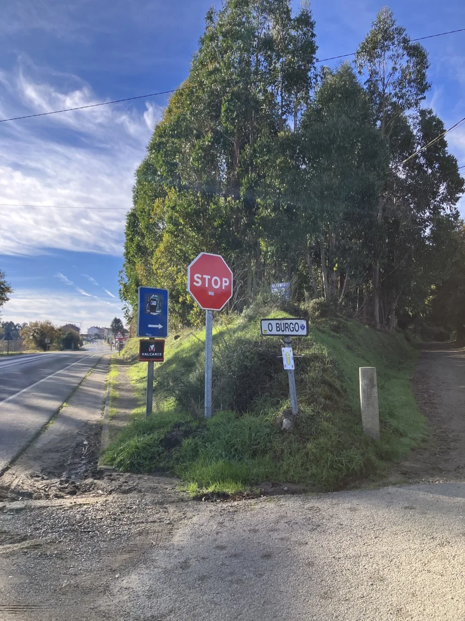 IMG_9626.jpg?type=w1