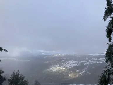 IMG_7869.jpg?type=w386