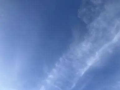 IMG_5076_2.jpg?type=w386