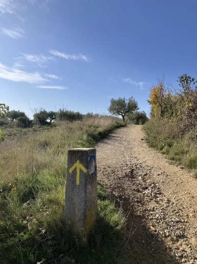 IMG_2780.jpg?type=w386