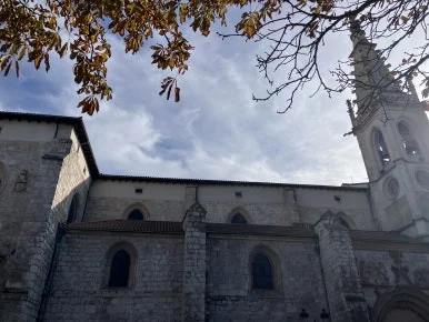 IMG_3953.jpg?type=w386