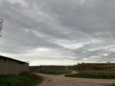 IMG_3140.jpg?type=w386