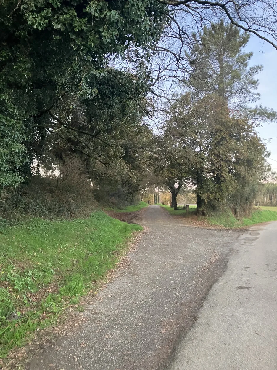 IMG_9520.jpg?type=w1