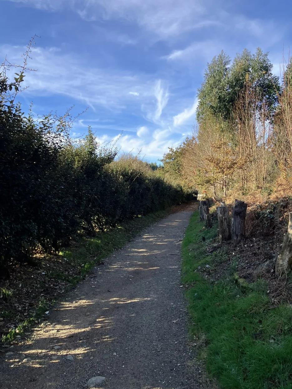 IMG_9587.jpg?type=w1