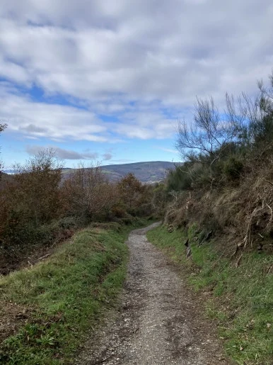 IMG_8099.jpg?type=w386