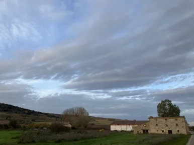 IMG_3746.jpg?type=w386