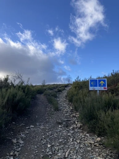 IMG_6803_2.jpg?type=w386