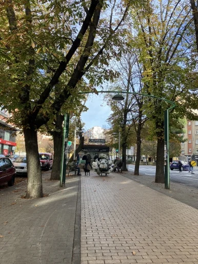 IMG_5780.jpg?type=w386