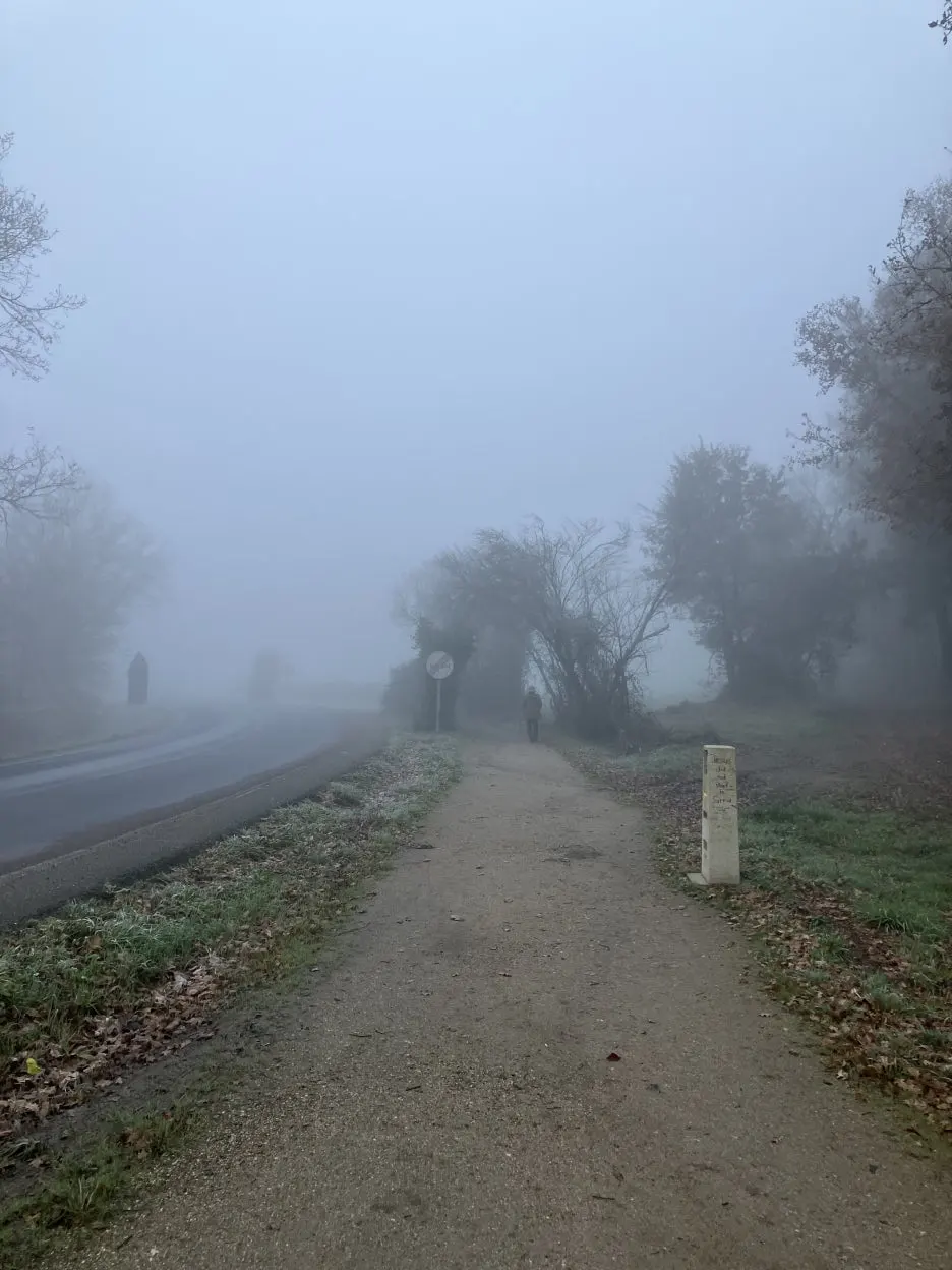 IMG_8801.jpg?type=w1