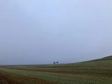 IMG_4616.jpg?type=w386